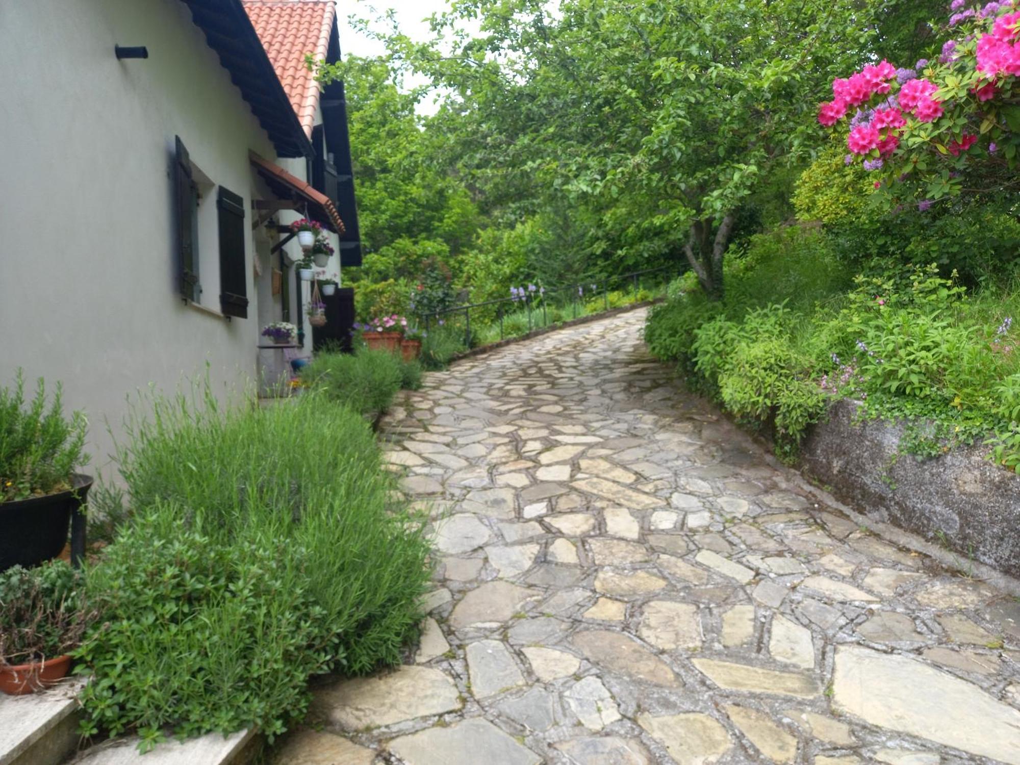 B&B Le Camelie Del Bosco Baiardo Exterior photo
