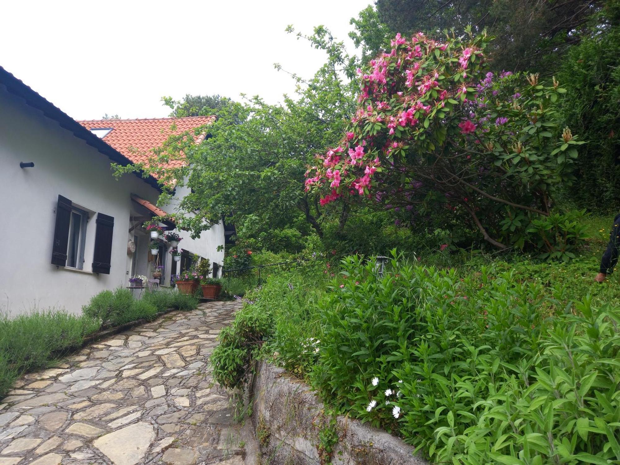 B&B Le Camelie Del Bosco Baiardo Exterior photo